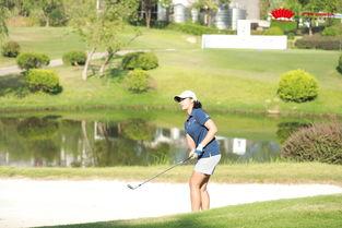 程迪演员,光影交织下的演艺人生