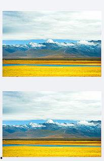 齐背景,齐文化背景下的历史变迁与社会发展概述